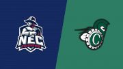 2025 New England College vs VTSU-Castleton - Men's