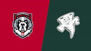 Replay: D'Youville vs Lake Erie | Nov 19 @ 8 PM