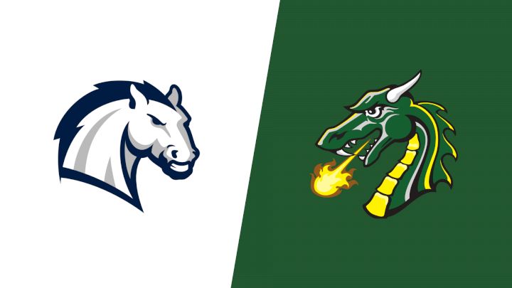 2026 Hillsdale vs Tiffin University - Men's