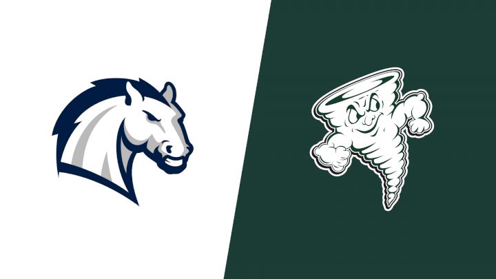 2026 Hillsdale vs Lake Erie College - Men's