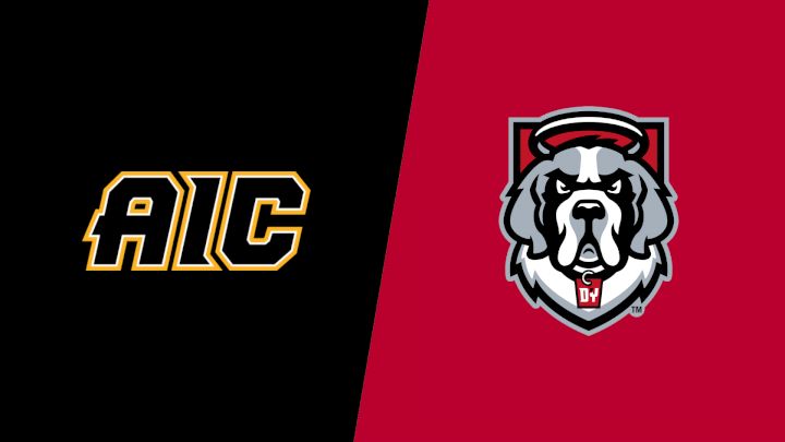 2025 American International vs D'Youville - Women's