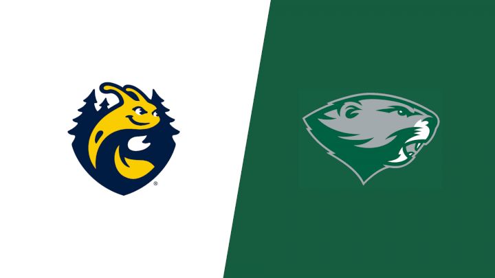 2025 UC Santa Cruz vs Babson College - Women's