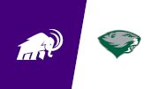 2026 Amherst College vs Babson College - Swimming