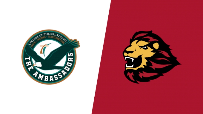 Team Matchup Image Service.