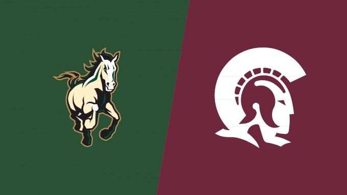 Team Matchup Image Service.