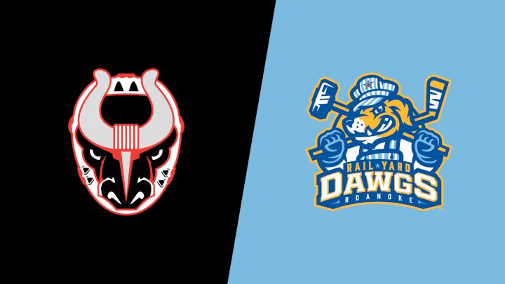 2026 Birmingham Bulls vs Roanoke Rail Yard Dawgs