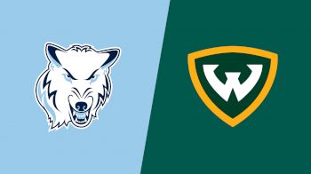 Replay: Northwood (MI) vs Wayne State (MI) | Nov 22 @ 3 PM
