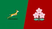 Replay: Japan vs South Africa | Nov 1 @ 4 PM