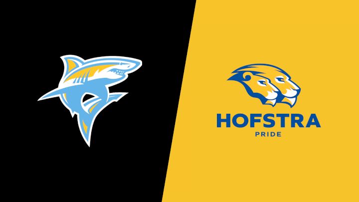 2026 Long Island University vs Hofstra - Men's