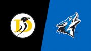 Replay: Dominican (CA) vs CSUSB | Nov 22 @ 5 PM