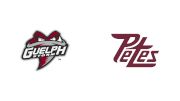 2026 Guelph Storm vs Peterborough Petes