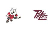 2026 Niagara IceDogs vs Peterborough Petes