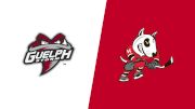 2026 Guelph Storm vs Niagara IceDogs