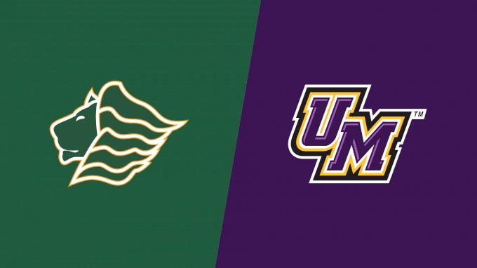 Team Matchup Image Service.