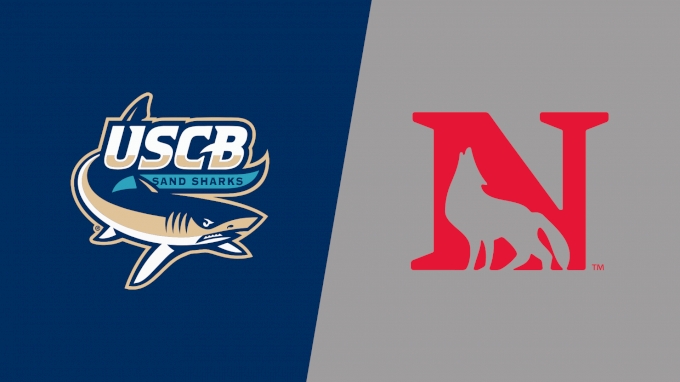 Team Matchup Image Service.