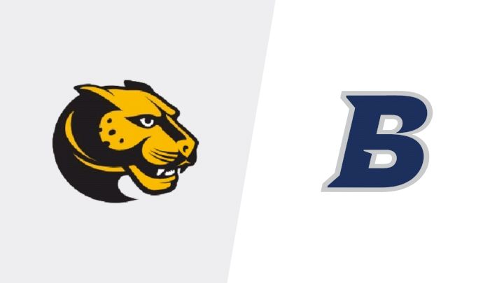 2026 Wentworth Institute vs Brandeis