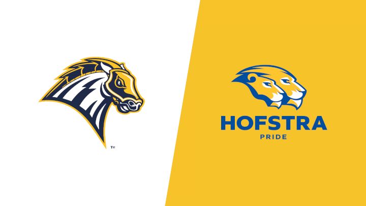 2026 New Haven vs Hofstra