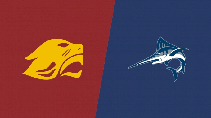 Team Matchup Image Service.