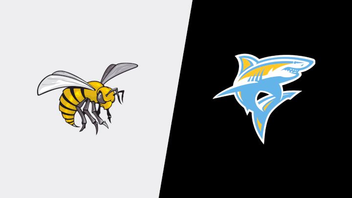 2026 Alabama State vs Long Island University