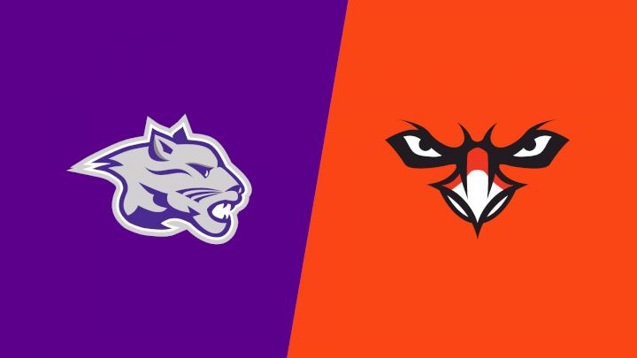 2026 Young Harris vs AUM - DH