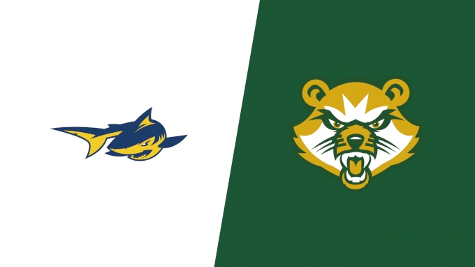 Team Matchup Image Service.