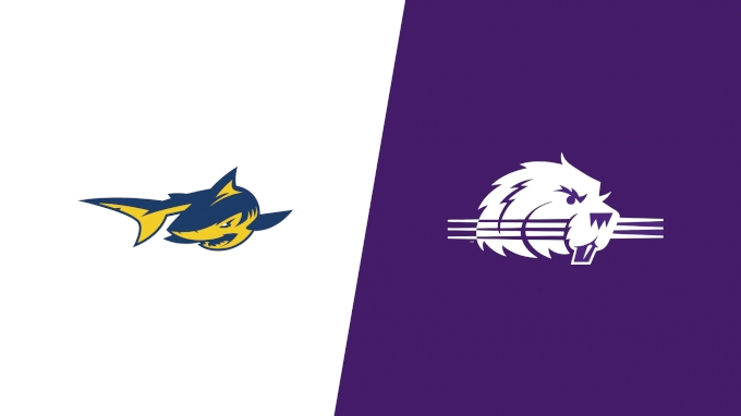 Team Matchup Image Service.