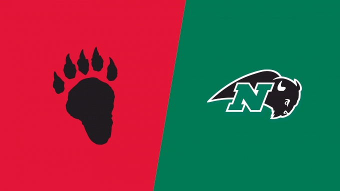 Team Matchup Image Service.