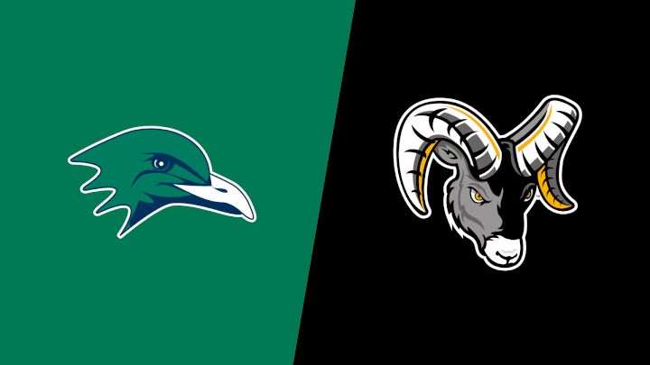 2026 Endicott College vs Framingham State