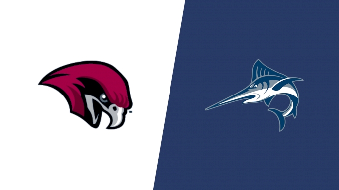 Team Matchup Image Service.