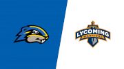 2026 Goucher vs Lycoming - Men's Lacrosse
