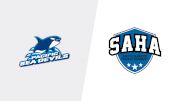2026 Pacific Coast Hockey Academy U17 Prep vs South Alberta Hockey Aca