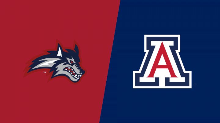 2026 Stony Brook vs Arizona - Men's Hockey