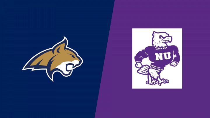 2026 Montana State vs Niagara - Men's Hockey