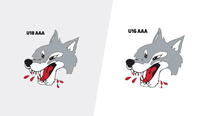 2026 Sudbury Wolves U18 AAA vs Sudbury Wolves U16 AAA