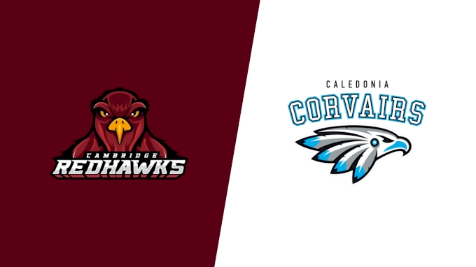 Team Matchup Image Service.