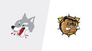 How to Watch: 2026 Sudbury Wolves vs Brantford Bulldogs | Hockey