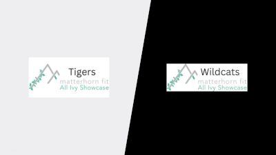 Replay: Home - 2026 Tigers vs Wildcats | May 3 @ 2 PM