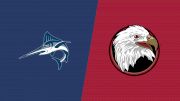 Replay: Virginia Wesleyan vs Bridgewater Colleg - 2026 Virginia Wesleyan vs Bridgewater (VA) | Apr 25 @ 3 PM