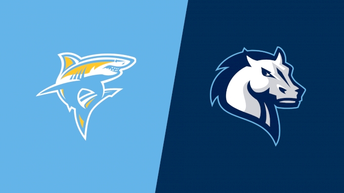 Team Matchup Image Service.