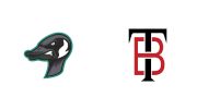 How to Watch: 2026 Rochester Honkers vs Thunder Bay Border Cats | Baseball