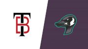 How to Watch: 2026 Thunder Bay Border Cats vs Rochester Honkers | Baseball