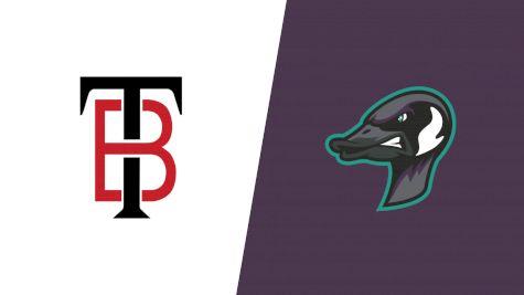 How to Watch: 2026 Thunder Bay Border Cats vs Rochester Honkers | Baseball