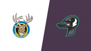 Replay: Bucks vs Honkers | Jun 23 @ 6 PM