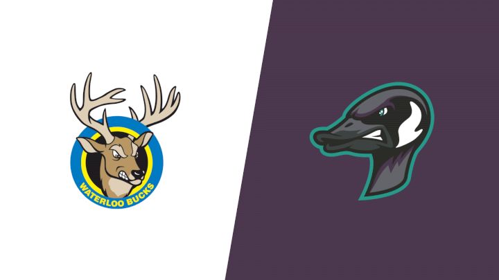 2026 Waterloo Bucks vs Rochester Honkers