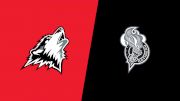 2026 Rouyn-Noranda Huskies vs Gatineau Olympiques