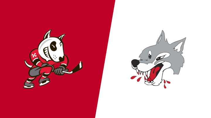2026 Niagara IceDogs vs Sudbury Wolves