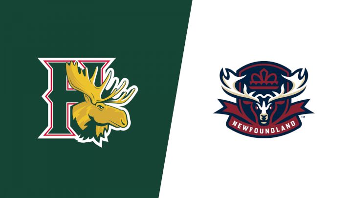 2026 Halifax Mooseheads vs Newfoundland Regiment