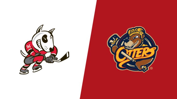2026 Niagara IceDogs vs Erie Otters