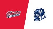 2026 Oshawa Generals vs Brampton Steelheads