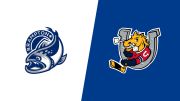 2026 Brampton Steelheads vs Barrie Colts